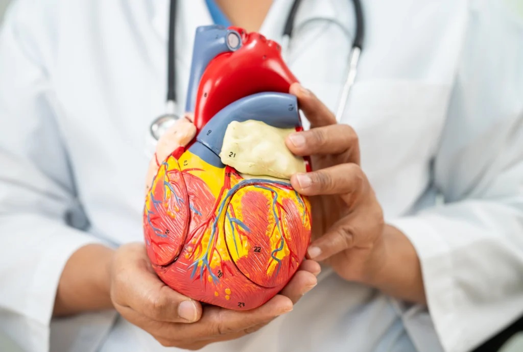 Best Cardiologist Doctors Near Me In Sector 50 Noida