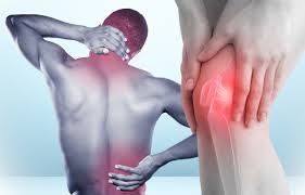 Best Physiotherapy Near Me