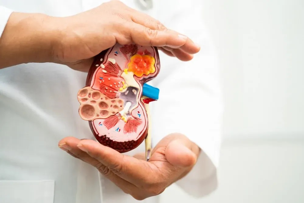 Nephrologist in Noida – Expert Kidney Care for Better Health