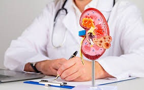 Best Nephrologist in Noida – Expert Kidney Care for Better Health