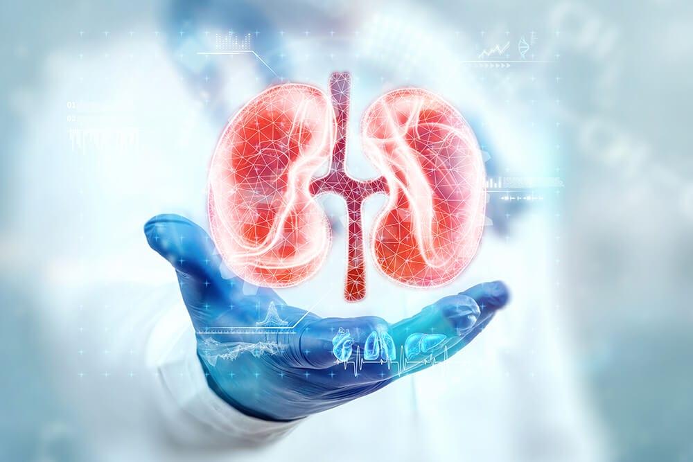 Best Kidney Specialist in Noida – Expert Care for Kidney Health