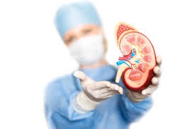 Kidney Specialist in Noida – Expert Care for Healthy Kidneys