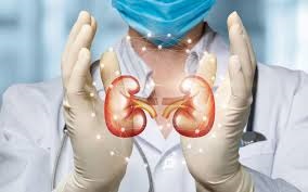Kidney Expert in Noida – Best Kidney Specialist for Complete Kidney Care