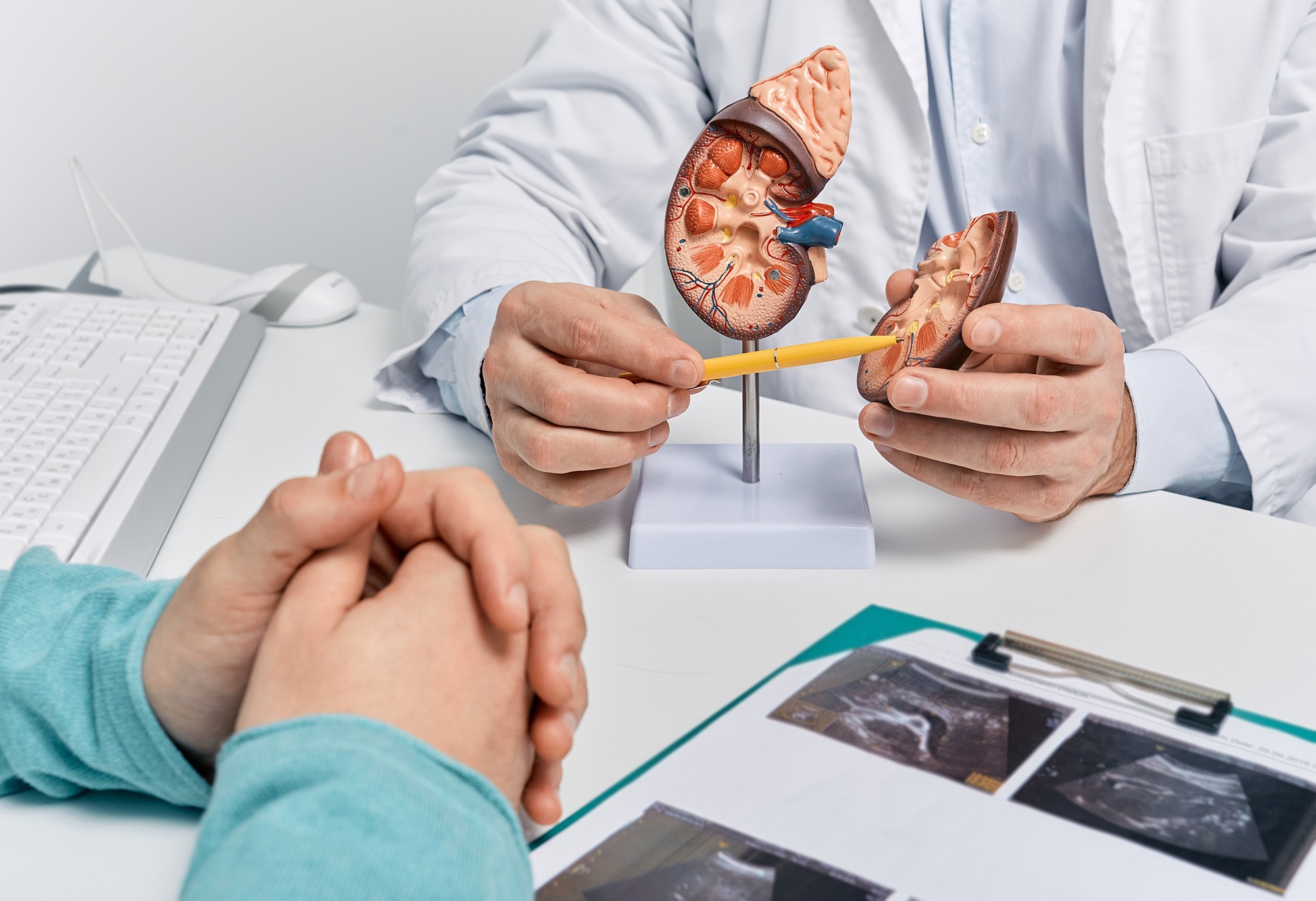 Top Nephrologist Near Me: Signs You Need a Kidney Specialist