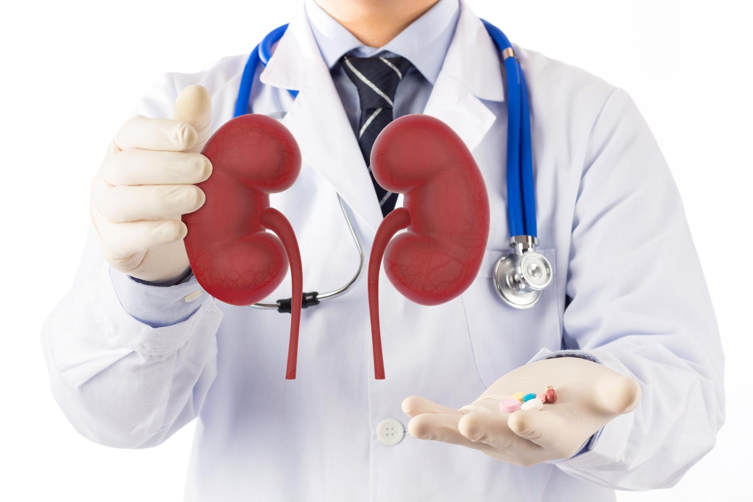 How a Nephrologist Can Help You Prevent Kidney Failure