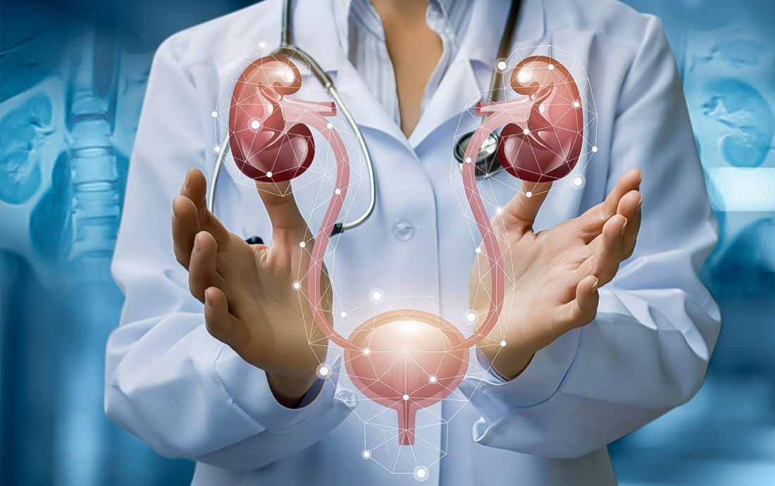 Top Kidney Specialist in Noida: Complete Guide to Nephrology Care