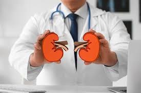 Early Signs of Kidney Problems You Should Never Ignore