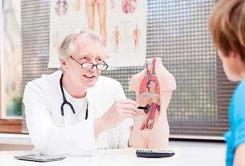 Best Kidney Doctor in Noida: Diagnosis, Treatment & Prevention Tips